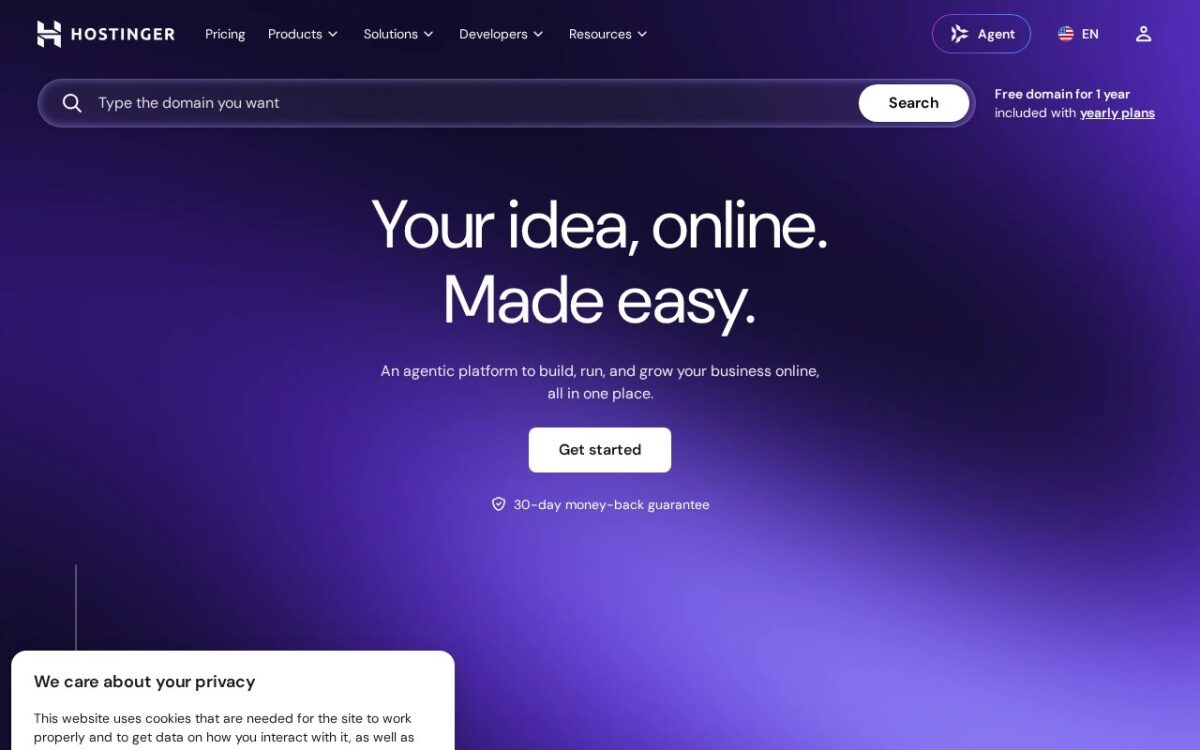 Hostinger – Web Hosting, Domains & Website Services