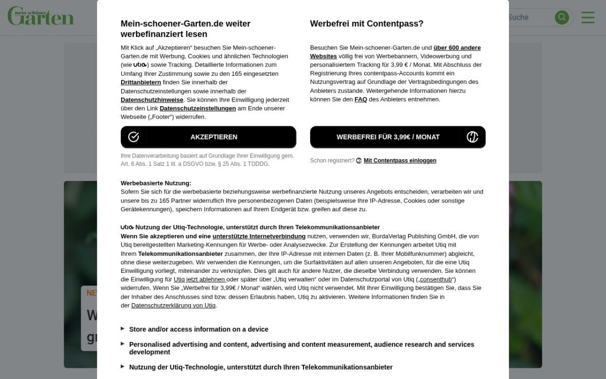 Website zum Thema Garten & Pflanzen