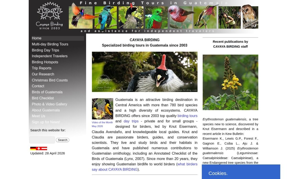Cayaya Birding – Birding Tours in Guatemala